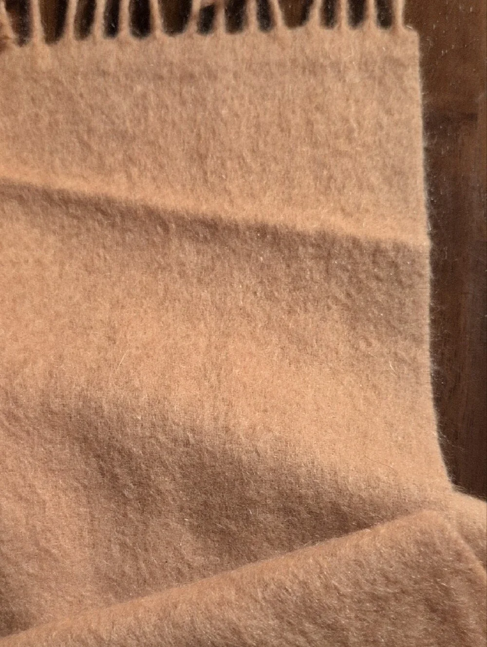 Unisex Camel Cashmere Scarf